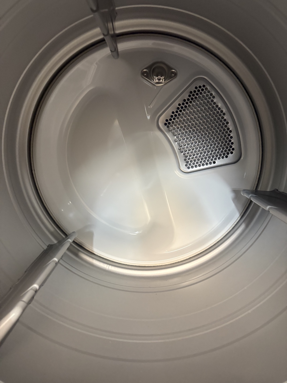 Original photo inside the matching LG dryer drum